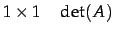 $\displaystyle 1\times1 \quad \det(A)$