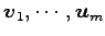$ \vec{v}_1,\cdots,\vec{u}_m$