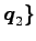 $ \vec{q}_2\}$