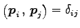 $ \left({\vec{p}_{i}}\,,\,{\vec{p}_{j}}\right)=\delta_{ij}$