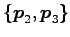 $ \{\vec{p}_2,\vec{p}_3\}$