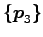 $ \{\vec{p}_3\}$