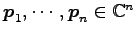 $ \vec{p}_1,\cdots,\vec{p}_n\in\mathbb{C}^n$