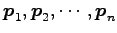 $ \vec{p}_1,\vec{p}_2,\cdots,\vec{p}_n$