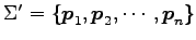 $ \Sigma'=\{\vec{p}_1,\vec{p}_2,\cdots,\vec{p}_n\}$
