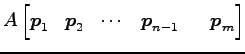 $\displaystyle A \begin{bmatrix}\vec{p}_1 & \vec{p}_2 & \cdots & \vec{p}_{n-1} & & \vec{p}_m \end{bmatrix}$