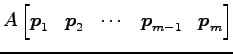 $\displaystyle A \begin{bmatrix}\vec{p}_1 & \vec{p}_2 & \cdots & \vec{p}_{m-1} & \vec{p}_m \end{bmatrix}$
