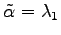 $ \tilde{\alpha}=\lambda_1$