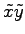 $ \tilde{x}\tilde{y}$