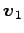 $\displaystyle \vec{v}_1$