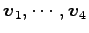 $ \vec{v}_1,\cdots,\vec{v}_4$
